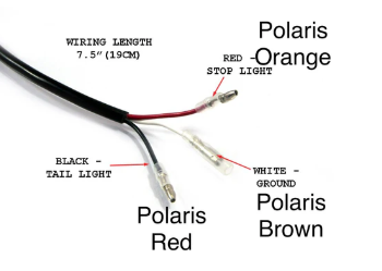 Avid - Polaris Matryx Tail Tidy