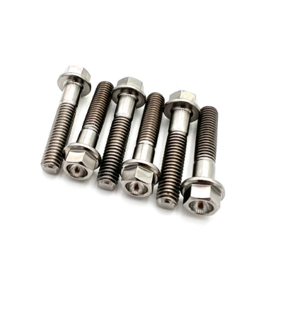ZRP - Polaris P-22 Titanium Clutch Cover Bolts